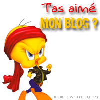t'as aimer mon blog ?
